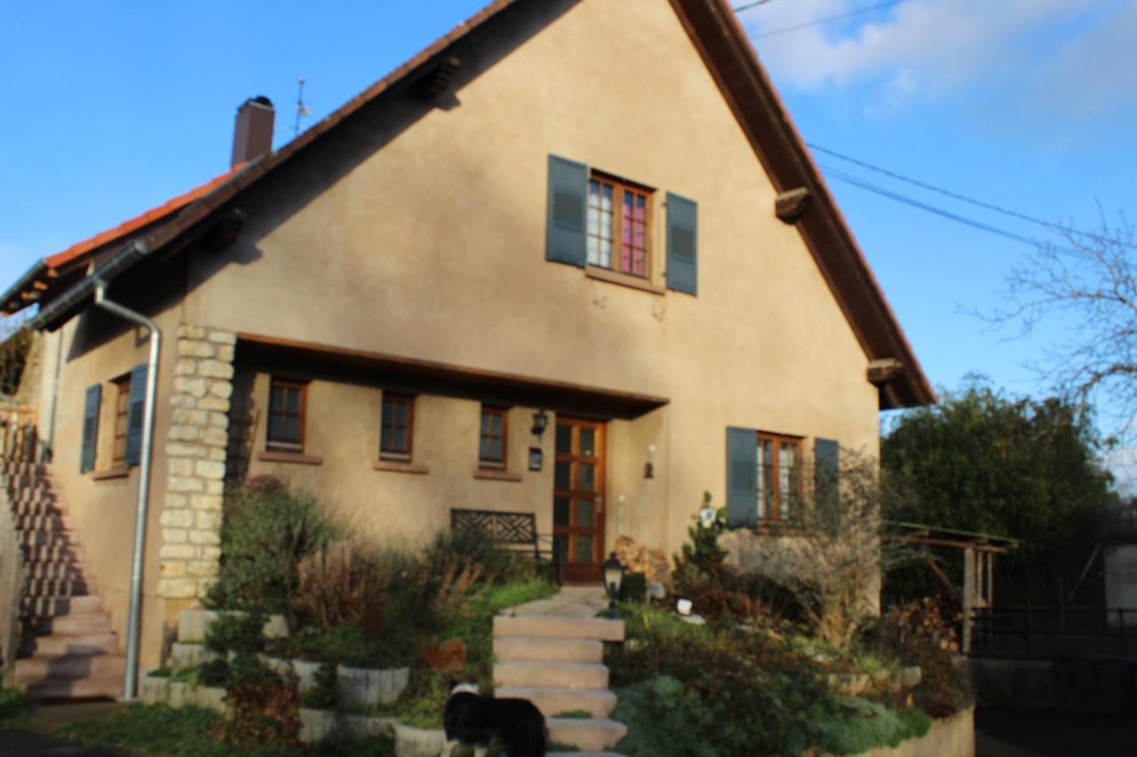 Gites Riviere Et Colline Niedermodern Exterior foto